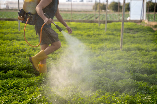 Best Local Pest Control Services  in Crookston, MN