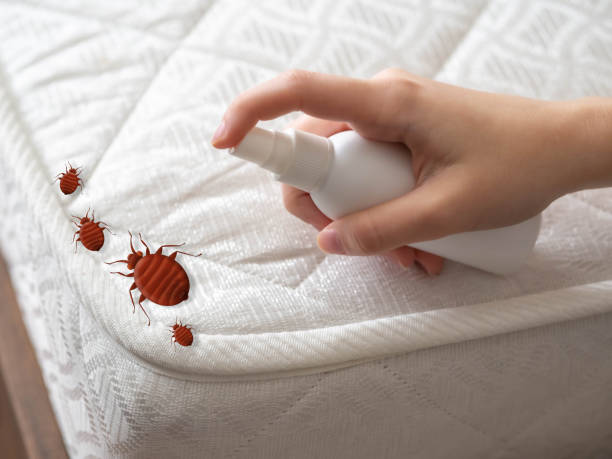 Pest Control for Restaurants in Crookston, MN