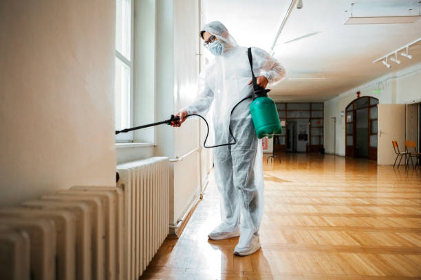 Best Wasp Removal Services  in Crookston, MN