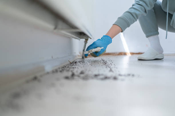  Crookston, MN Pest Control Pros